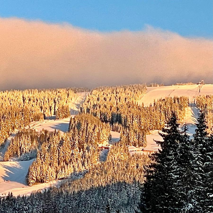 Kubinska Hola - Apartmany Hillside Point Dolny Kubin Luaran gambar